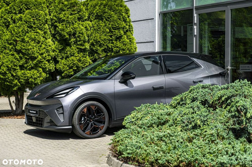 Cupra Inny - 9