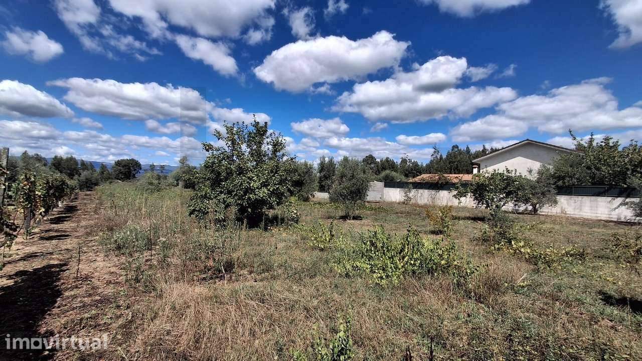 Terreno em Lageosa do Dão - Grande imagem: 4/7