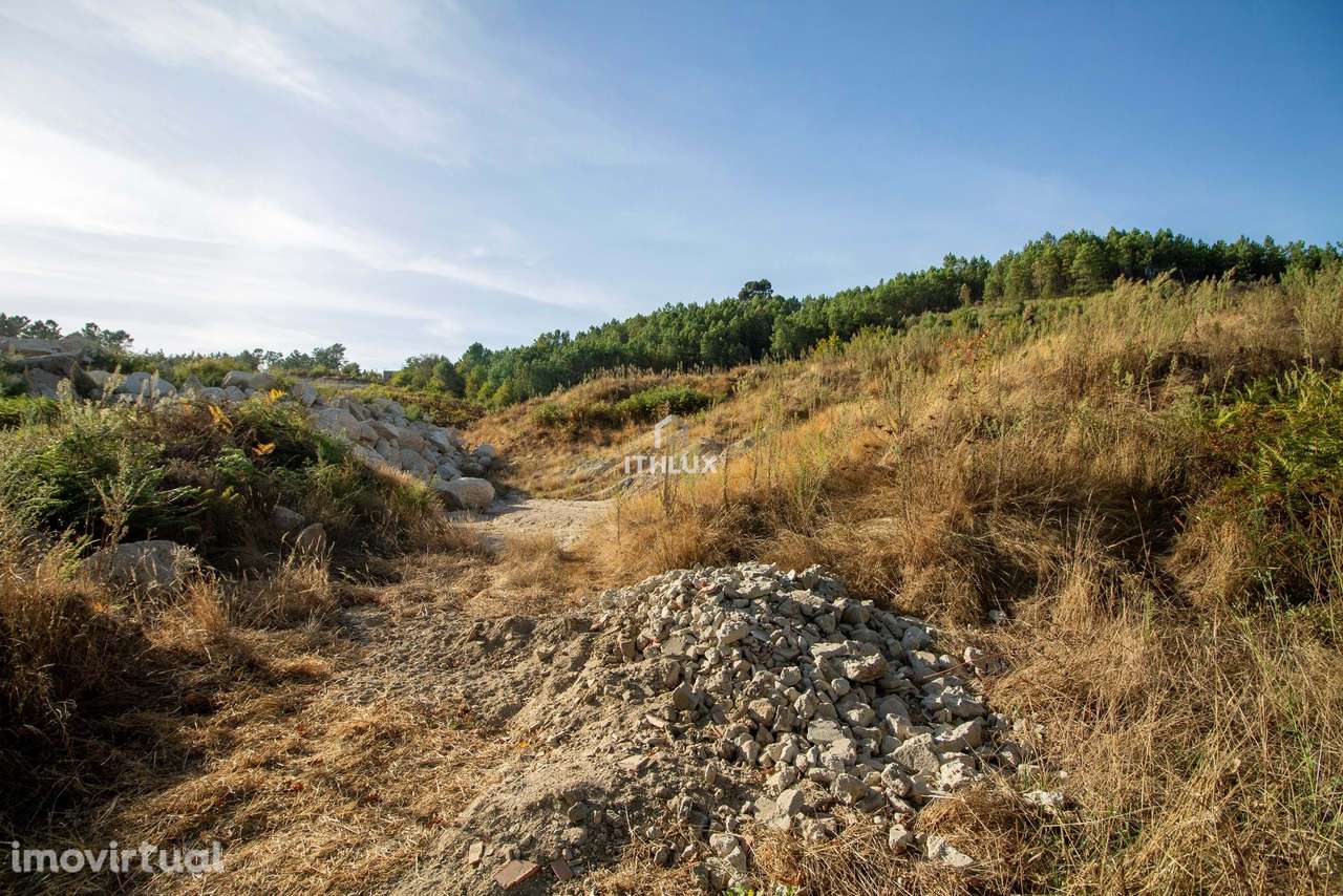 Terreno 40.000 m², Carragoso, Viseu - Grande imagem: 5/10