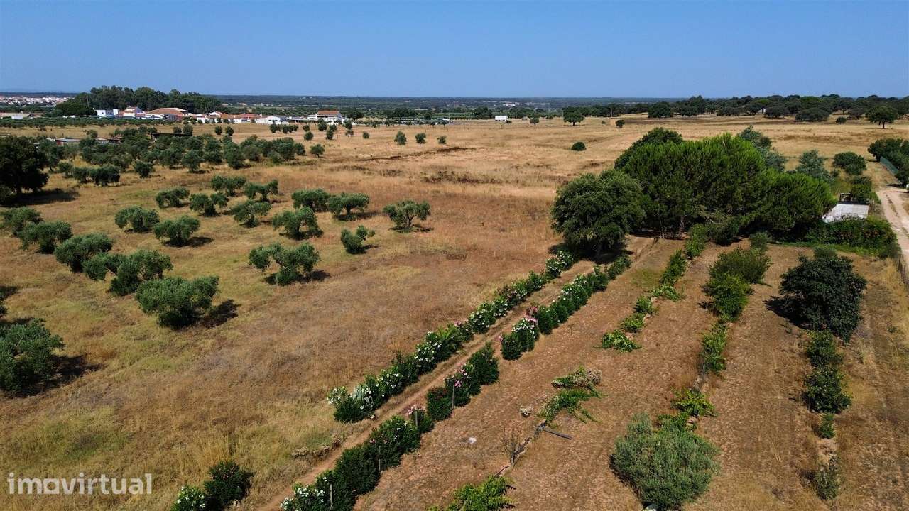 Propriedade rústica com 2,25 hectares integrada no regadio do Alqueva, - Grande imagem: 5/33