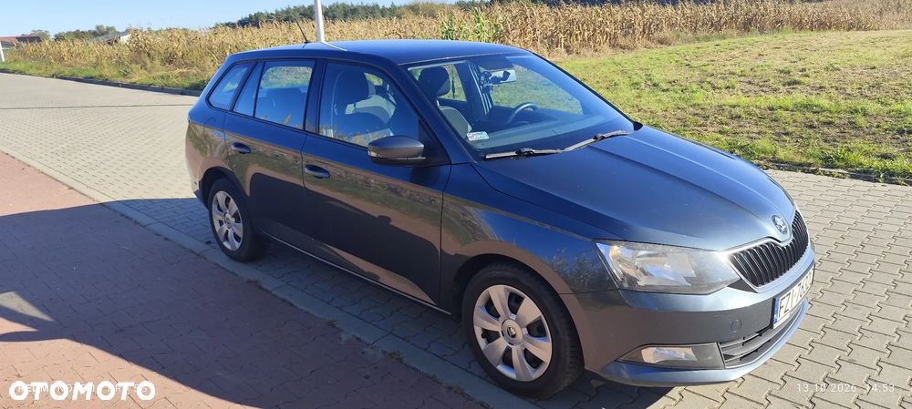 Skoda Fabia 2015 photo 5