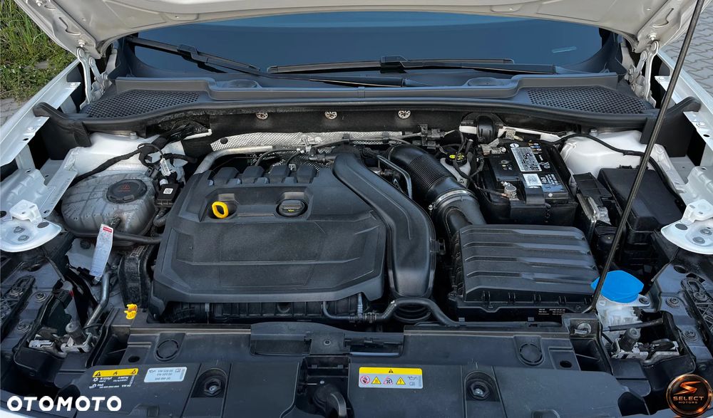 Cupra Formentor 1.5 TSI DSG Tribe Edition - 12