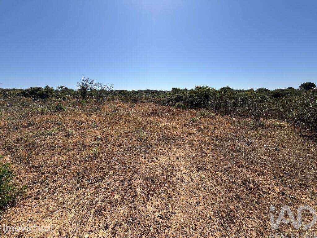 Terreno Agrícola em Barão de São Miguel - Grande imagem: 3/6