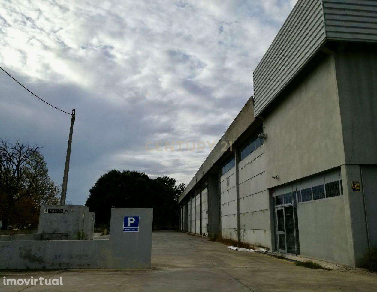 Armazém Industrial com 2.000 m² implantado em terreno de 16.188 m² – Q - Grande imagem: 2/9