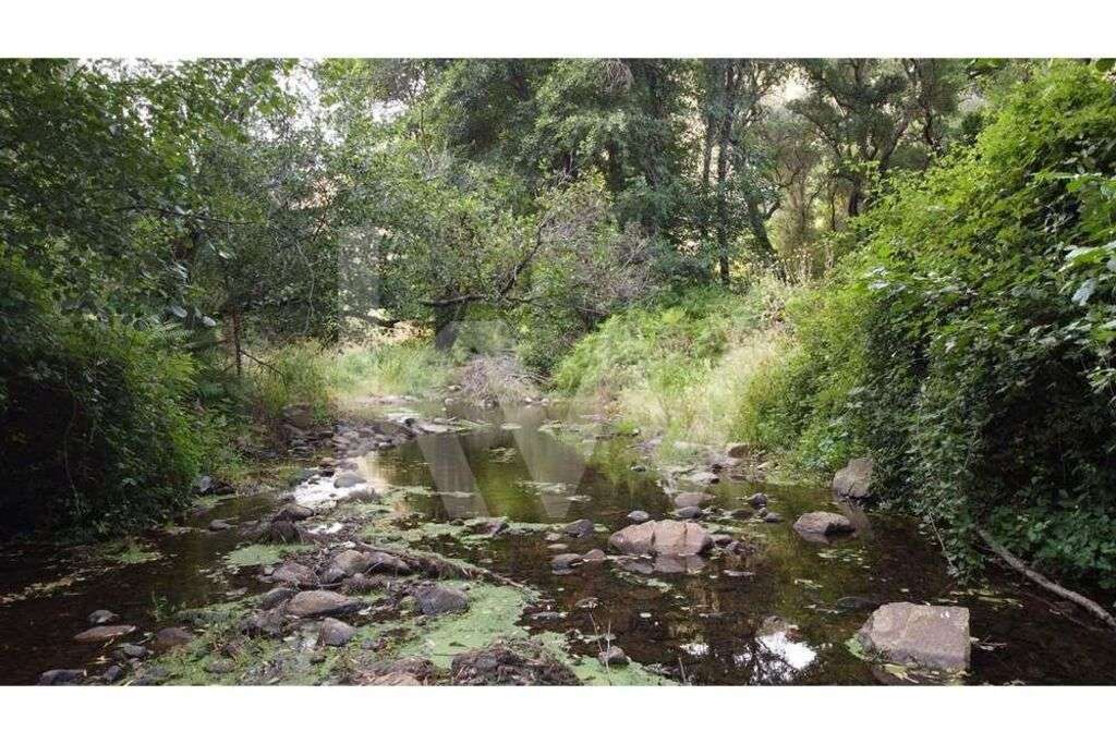 Quinta com 7ha e casas em Engreneiros - Alferce, Monchique - Grande imagem: 3/18