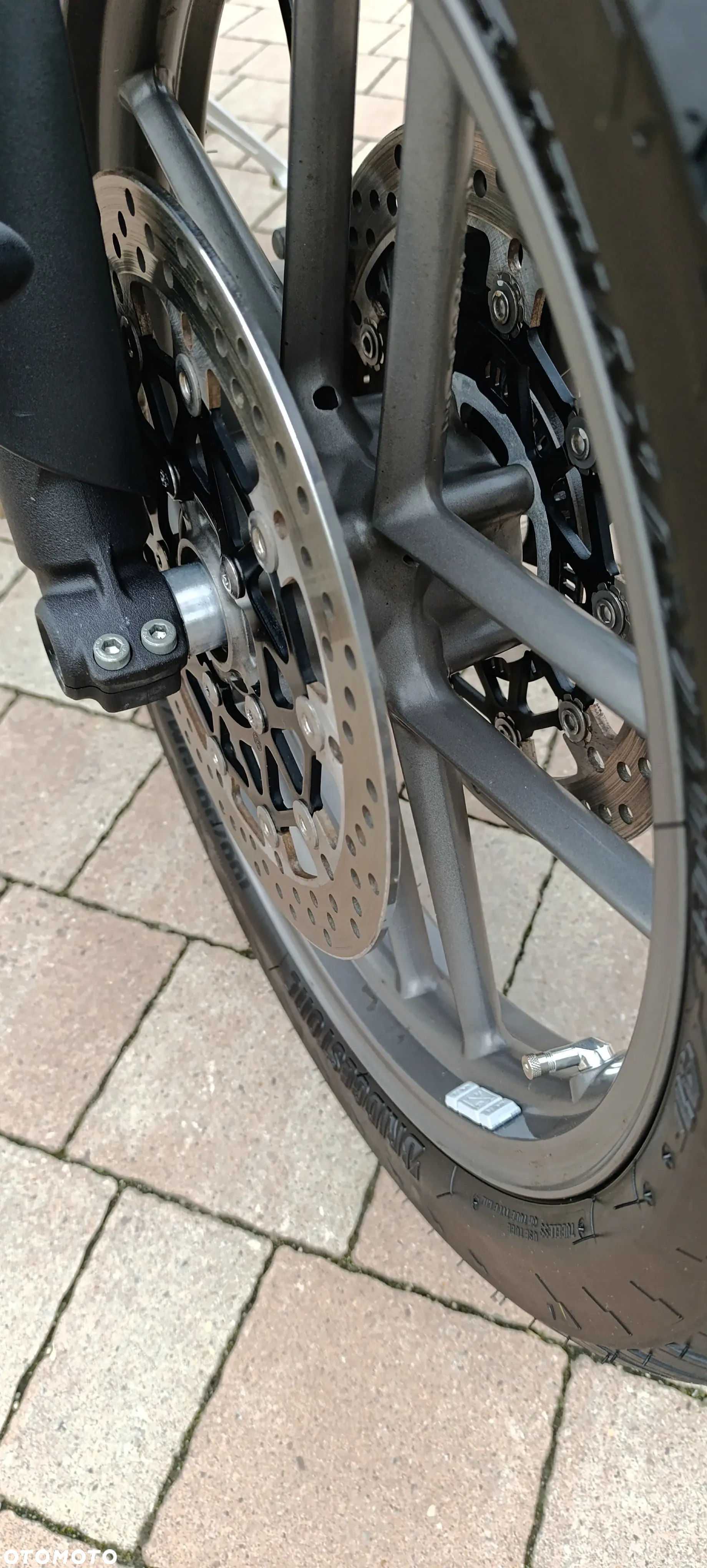 Triumph Tiger - 19