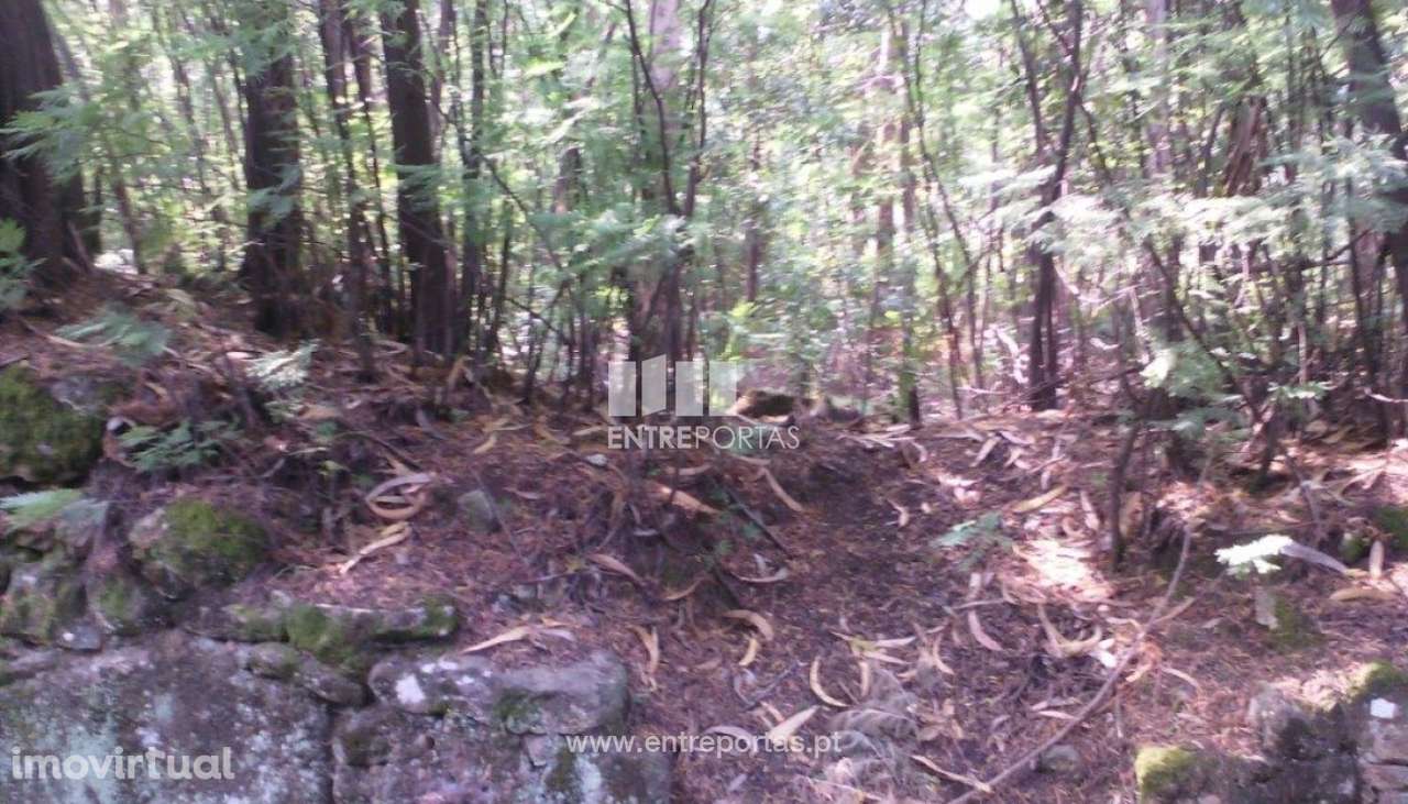 Venda de terreno, Canidelo, Vila do Conde - Grande imagem: 5/13