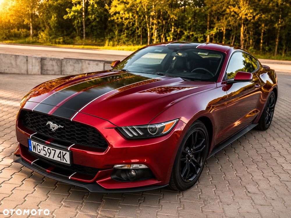 Ford Mustang - 12