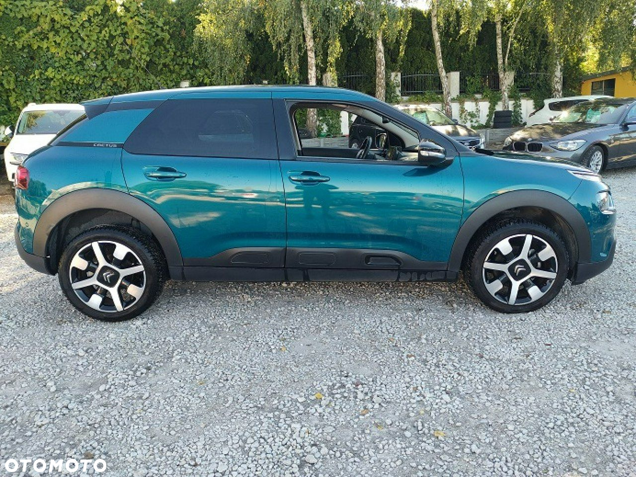 Citroën C4 Cactus - 13