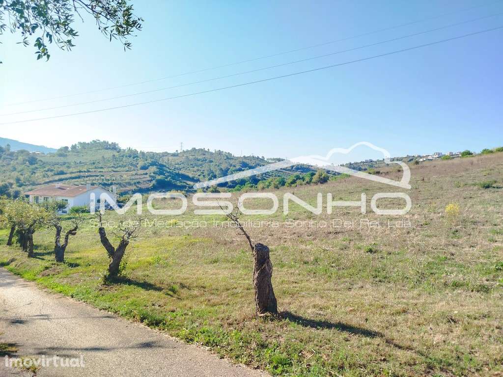 Terreno para construção a poucos minutos de Leiria - Grande imagem: 2/8