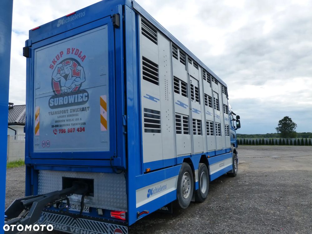 Scania R420 + PRZYCZEPA PEZZAIOLI / ZESTAW DO ŻYWCA, ZWIERZĄT, BYDŁA, TRZODY - 19