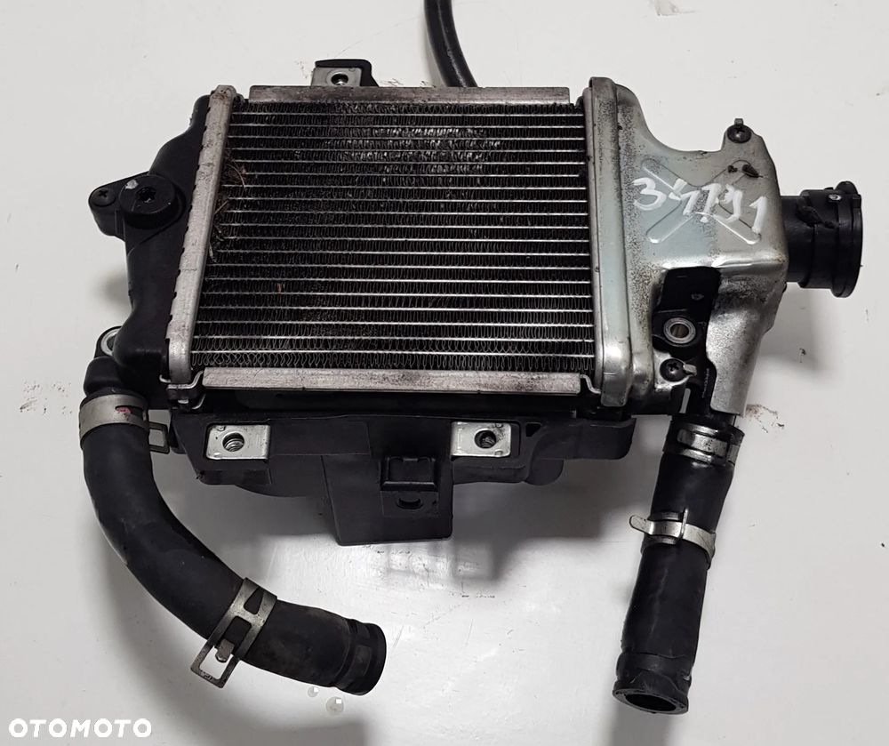 Honda Forza 125 14-17 - Chłodnica - 2