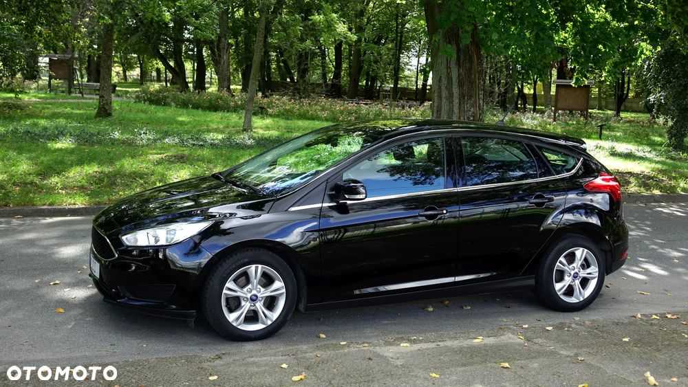 Ford Focus - 24
