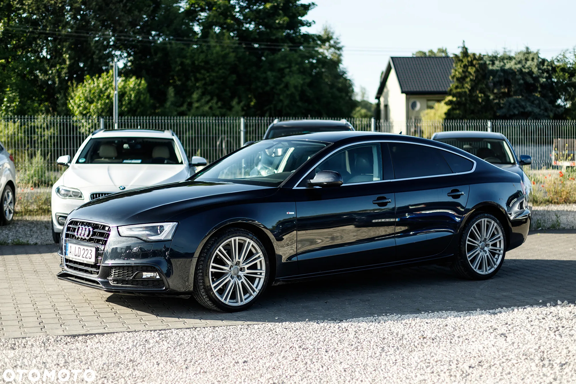 Audi A5 Sportback 2.0 TDI sport - 8