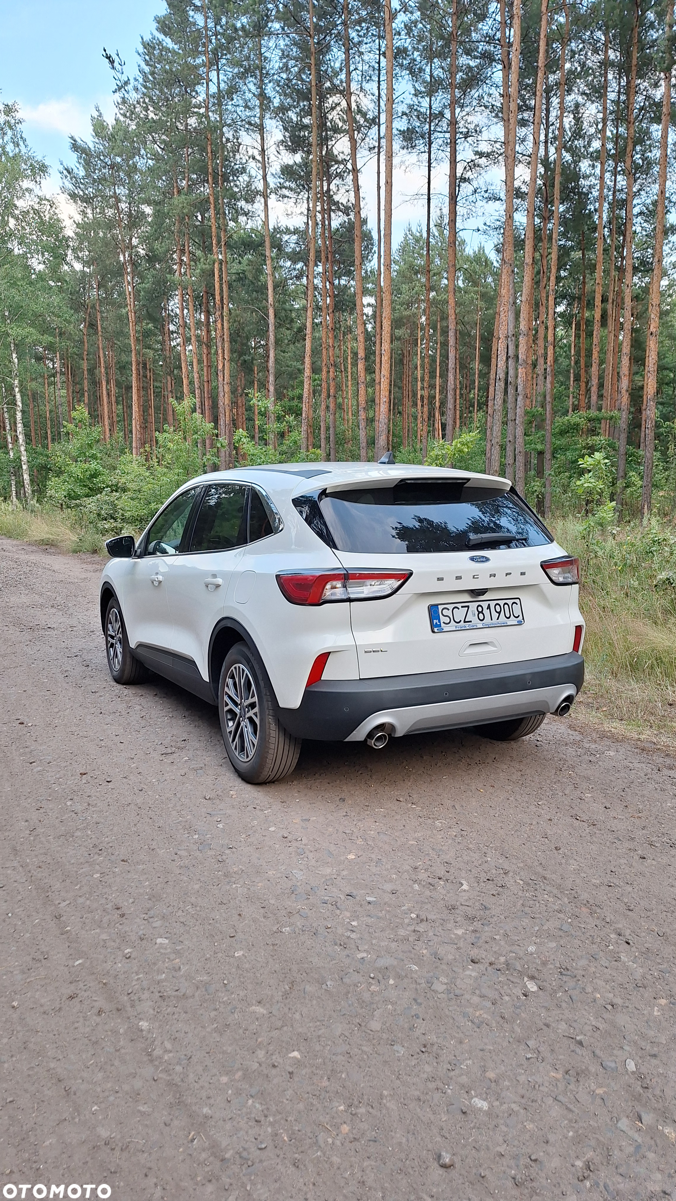 Ford Escape 1.5 EcoBoost AWD SE - 8