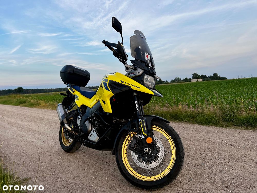 Suzuki DL - 5