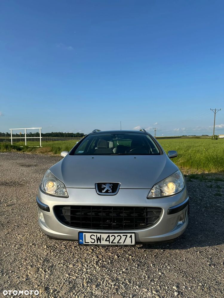 Peugeot 407 - 14