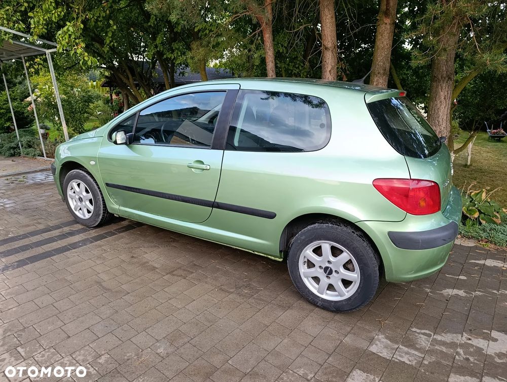 Peugeot 307 110 Grand Filou - 3