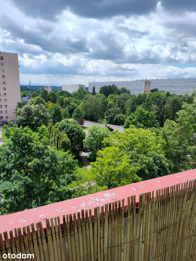 Mieszkanie M3 bez pośredników !