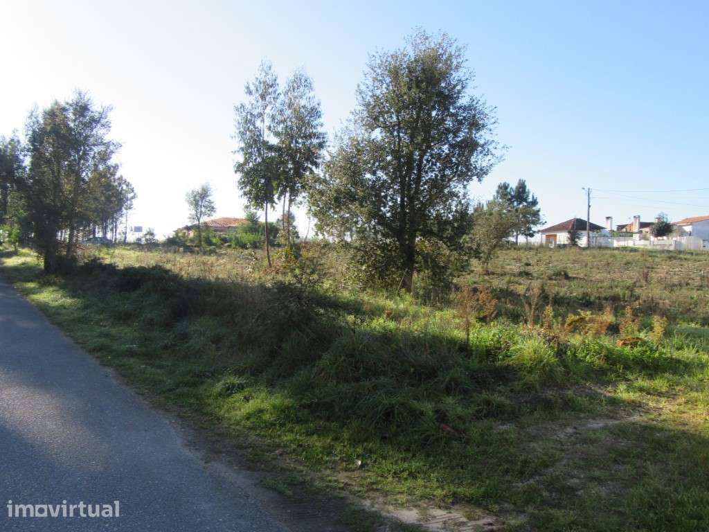 Terreno para construção na zona de Monte Real - Grande imagem: 3/9