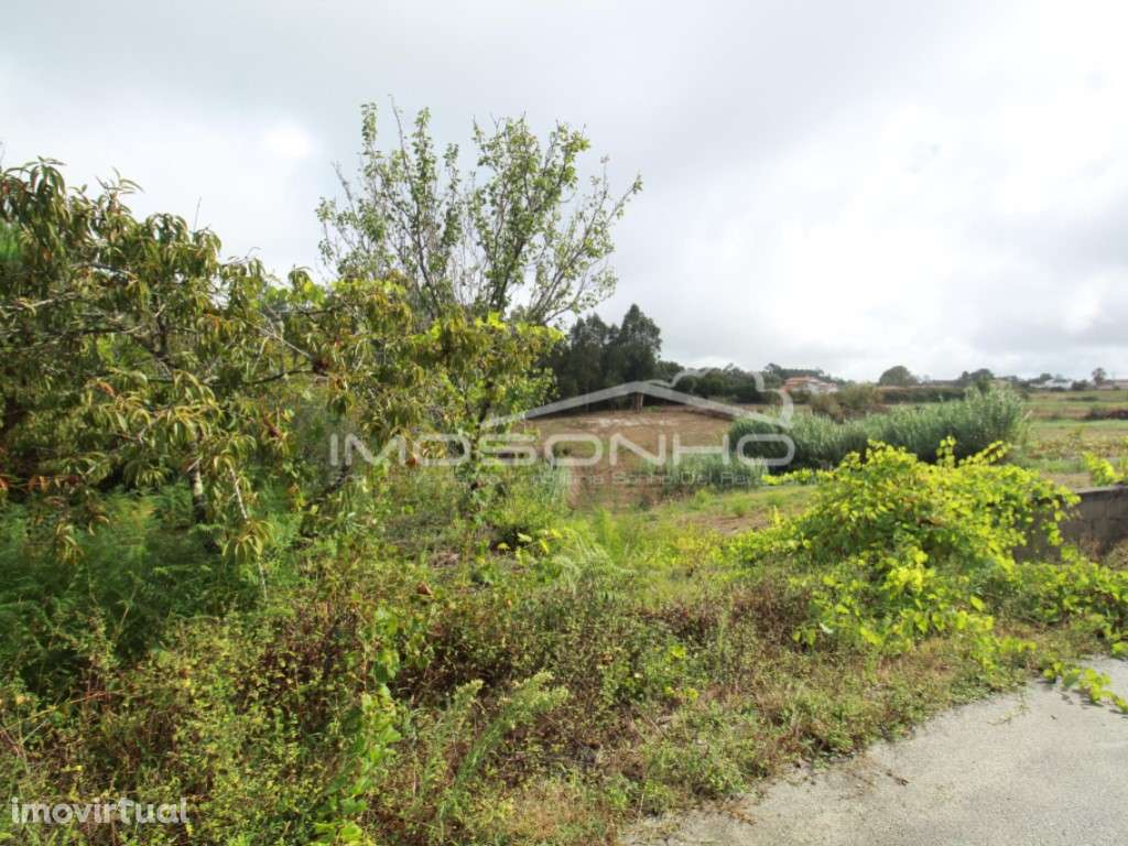 Terreno - Grande imagem: 4/7