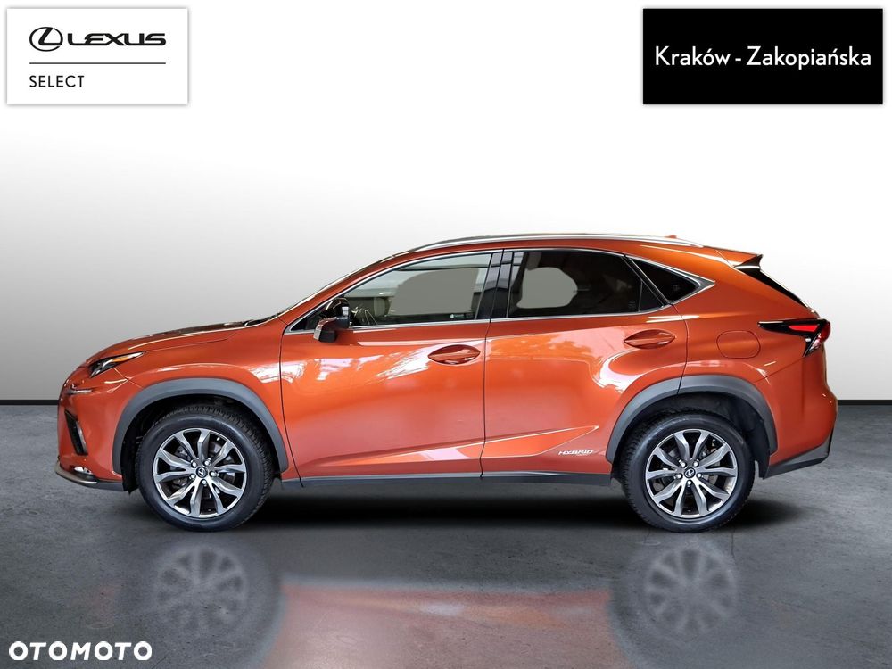 Lexus NX 300h F Sport Edition AWD - 5