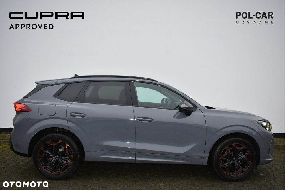 Cupra Terramar - 3