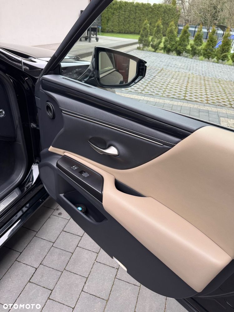 Lexus ES 300h Elegance - 20
