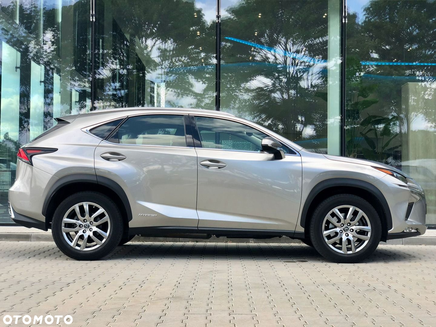 Lexus NX - 4