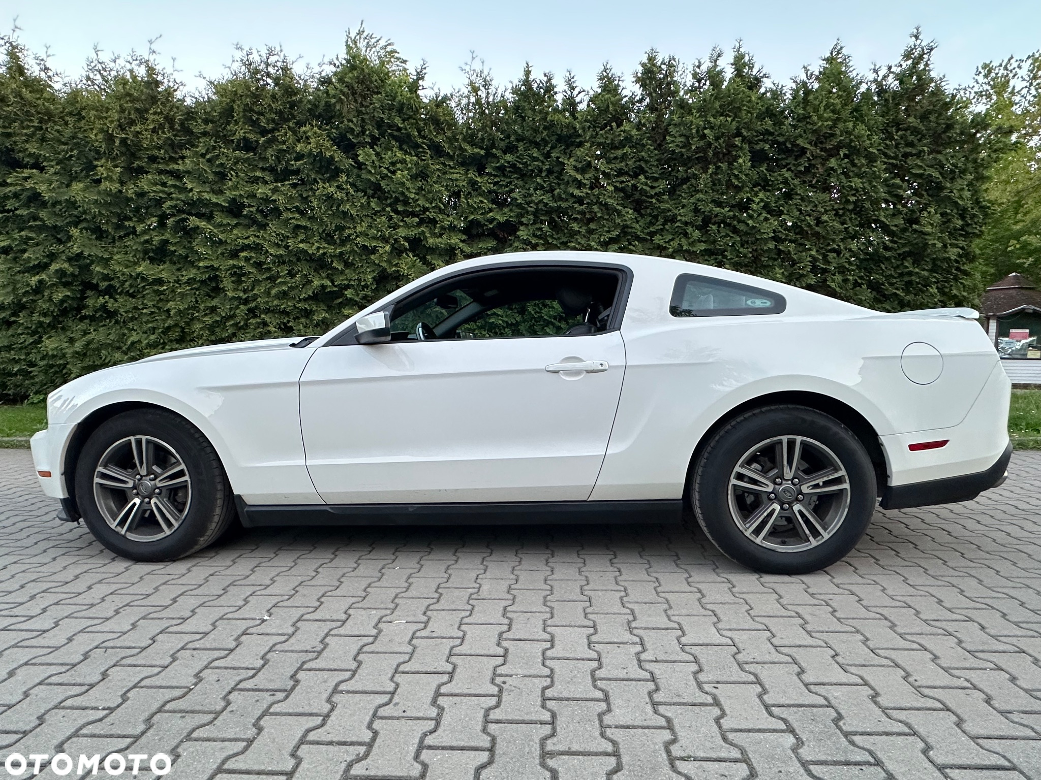 Ford Mustang 3.7 V6 Premium - 3