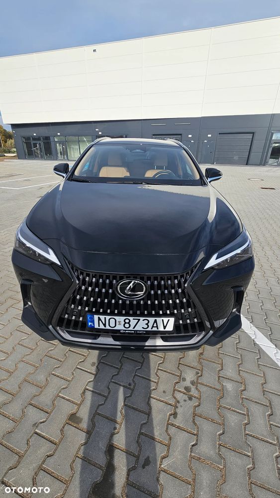 Lexus NX - 3