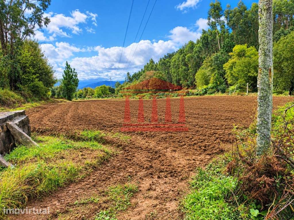 TERRENO AGRÍCOLA PARA VENDA EM IGREJA NOVA - BARCELOS - Grande imagem: 2/4