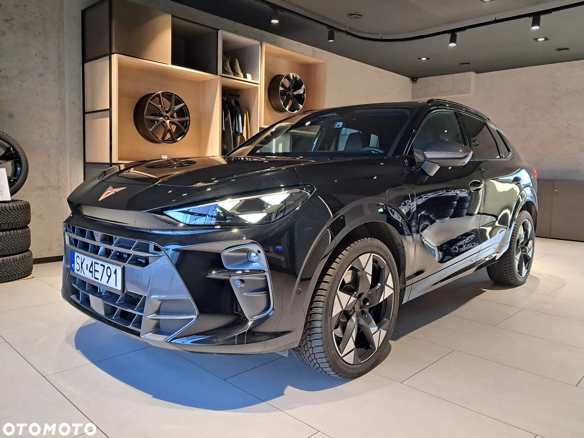 Cupra Terramar - 2