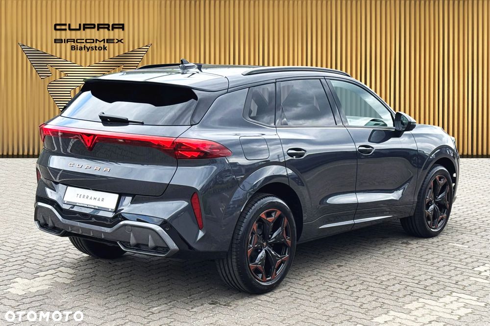 Cupra Terramar - 6