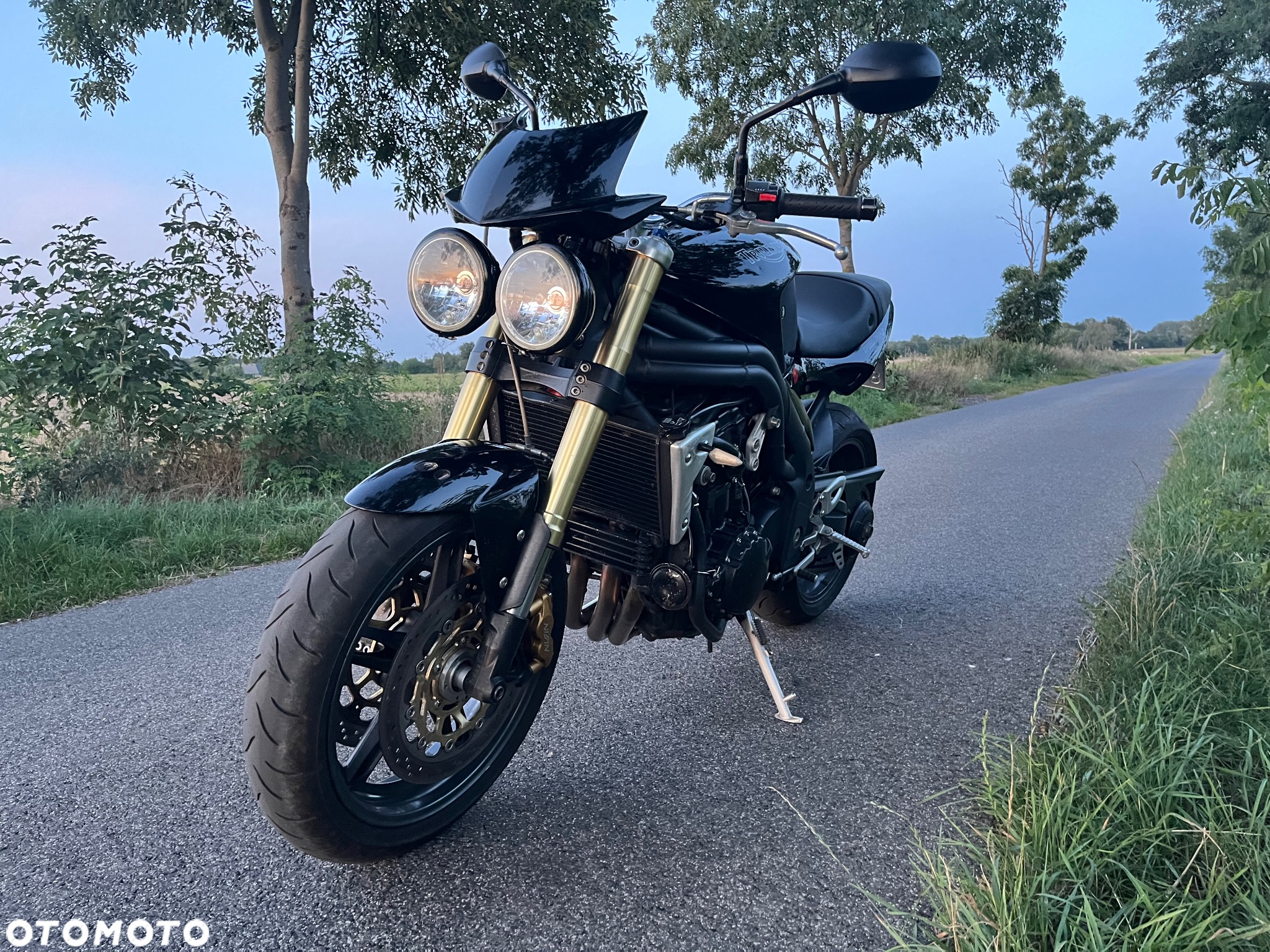 Triumph Speed Triple - 16