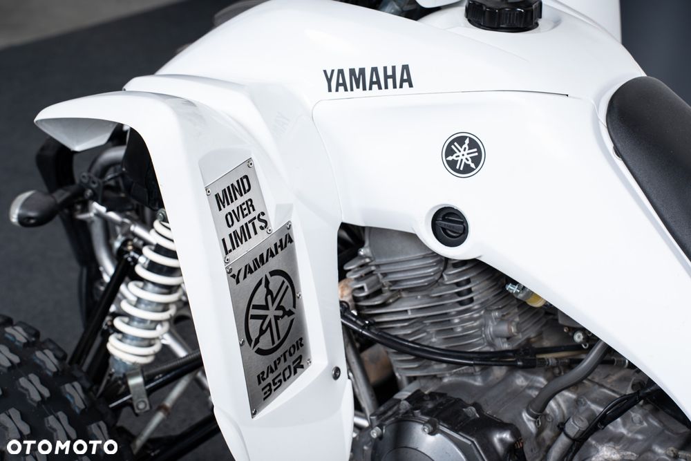 Yamaha Raptor - 7