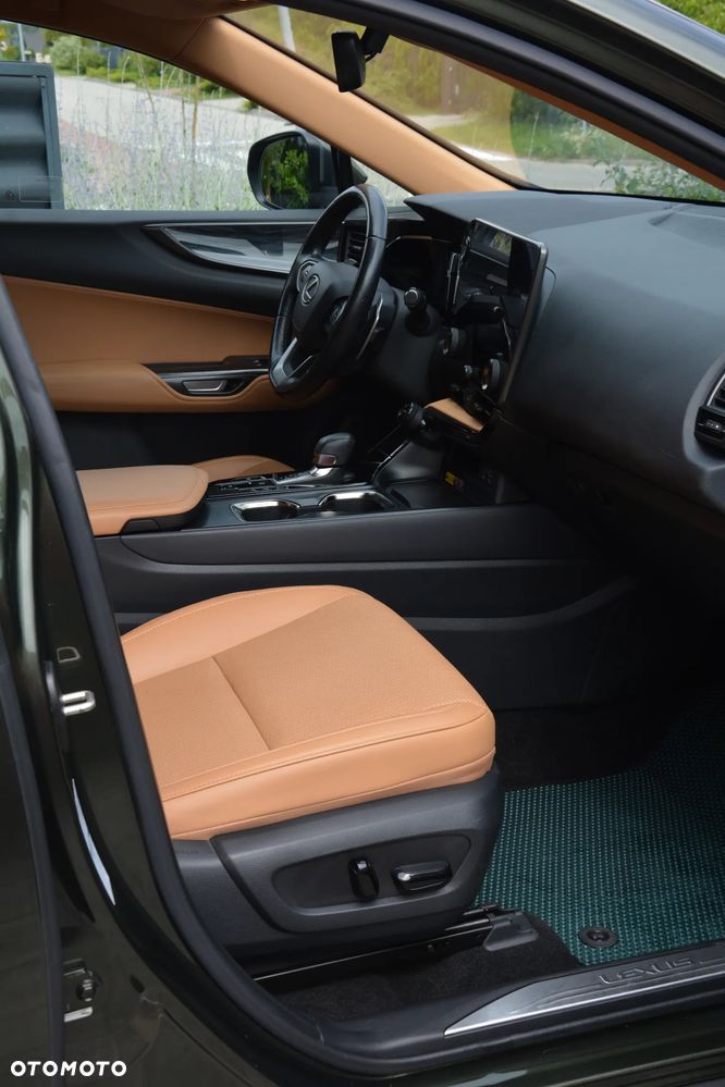 Lexus NX - 12