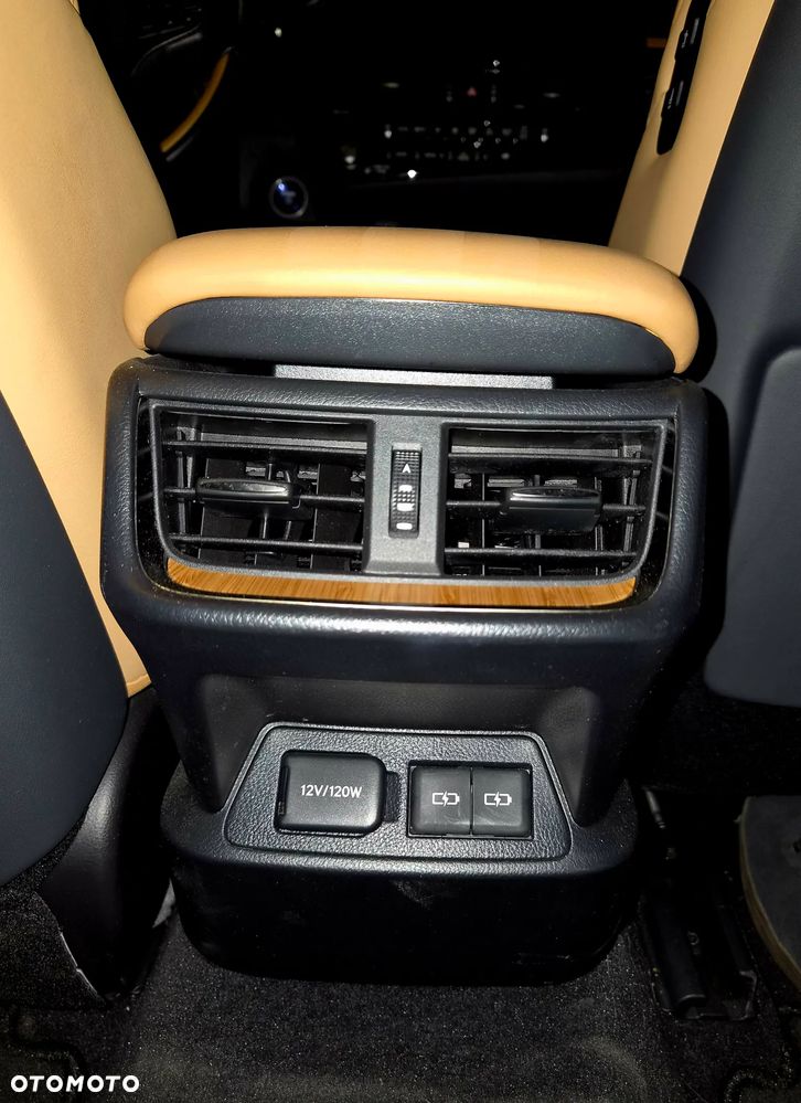 Lexus ES 300h Omotenashi - 19