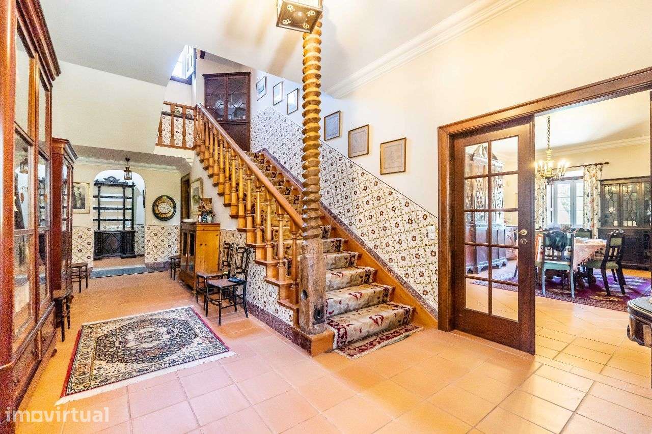 Quinta Histórica em Santarém com 539.460 m² - Grande imagem: 4/53