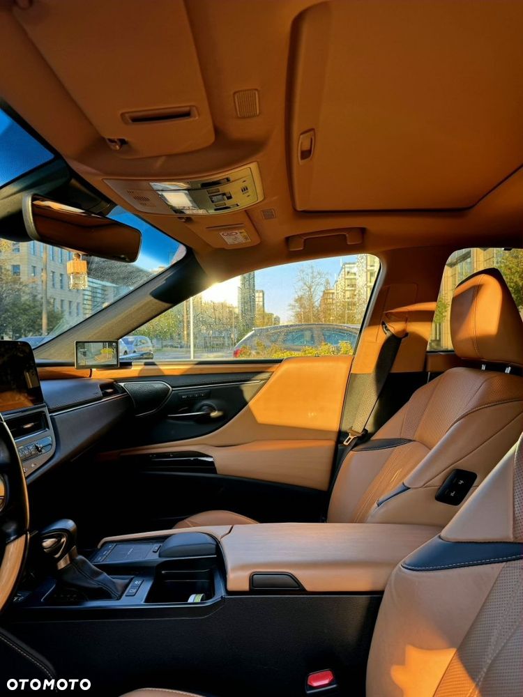 Lexus ES 300h Omotenashi - 16