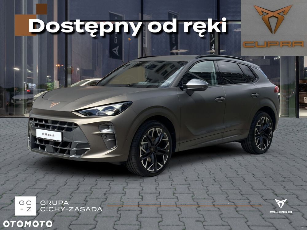 Cupra Terramar - 1