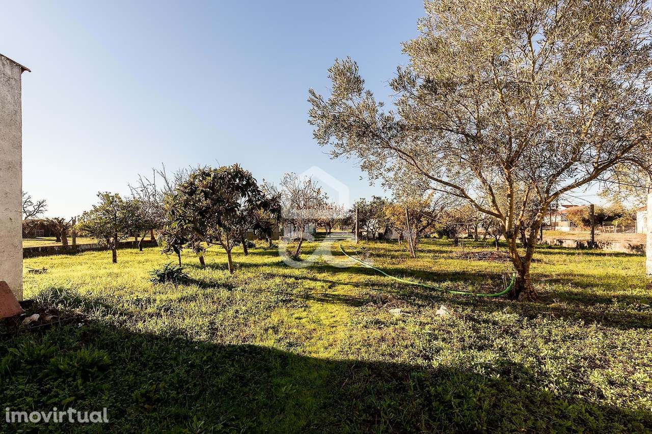 Terreno de  1.350 m² c/ Anexo de Apoio Agrícola | Canaviais, Évora - Grande imagem: 5/46