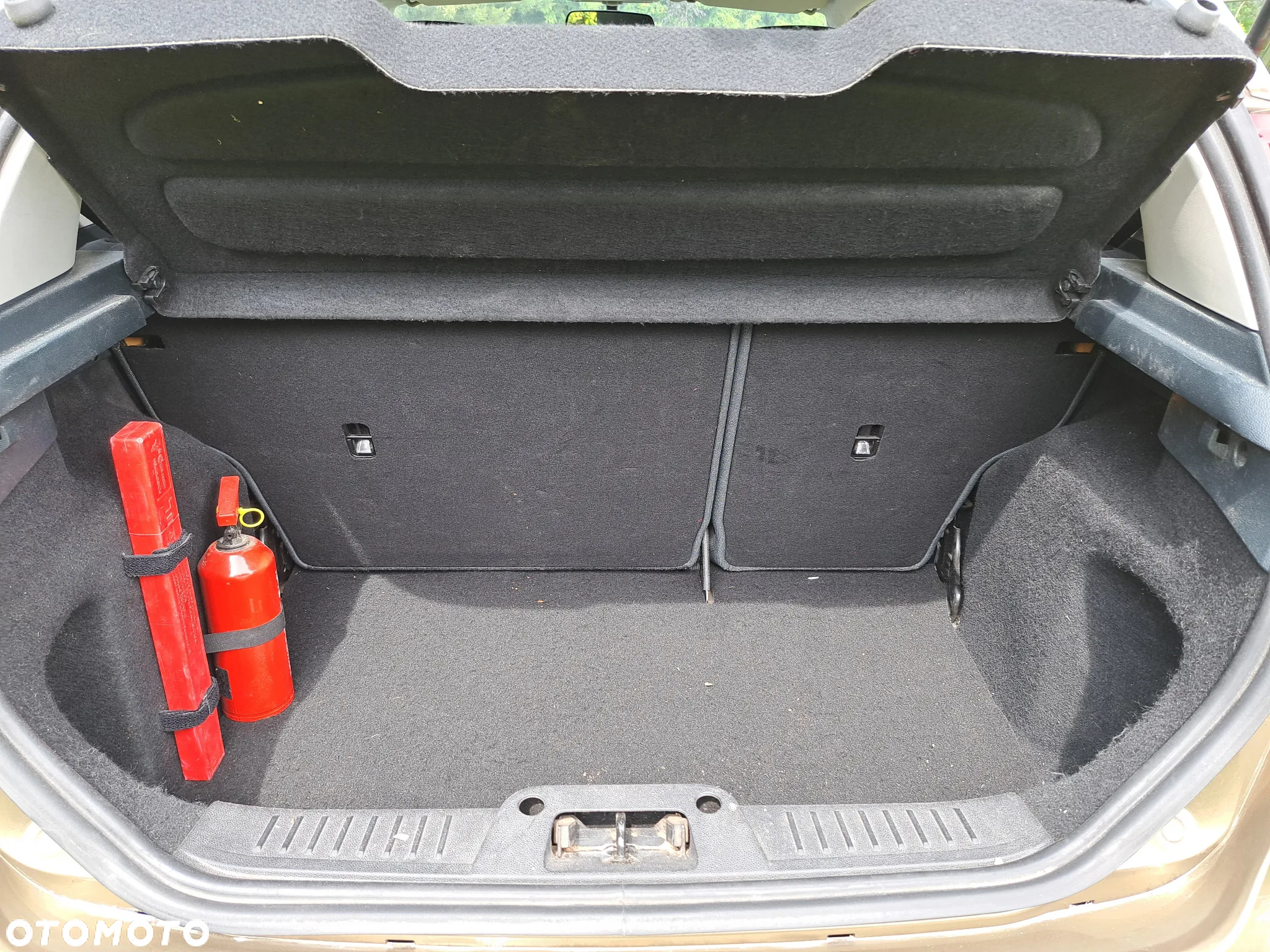 Ford Fiesta - 16