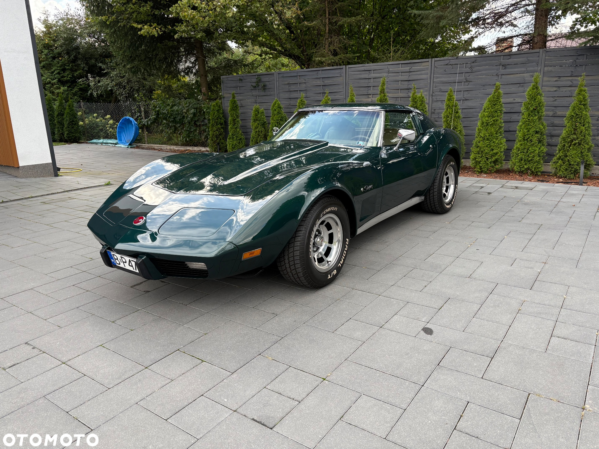Chevrolet Corvette - 7