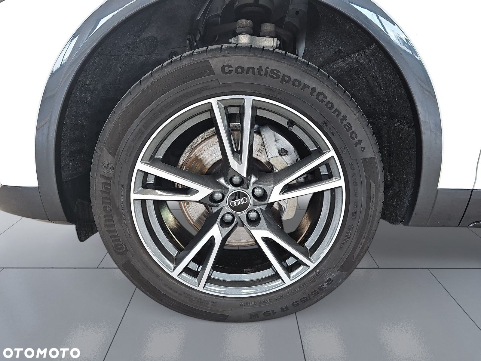 Audi Q5 40 TDI mHEV Quattro Advanced S tronic - 13