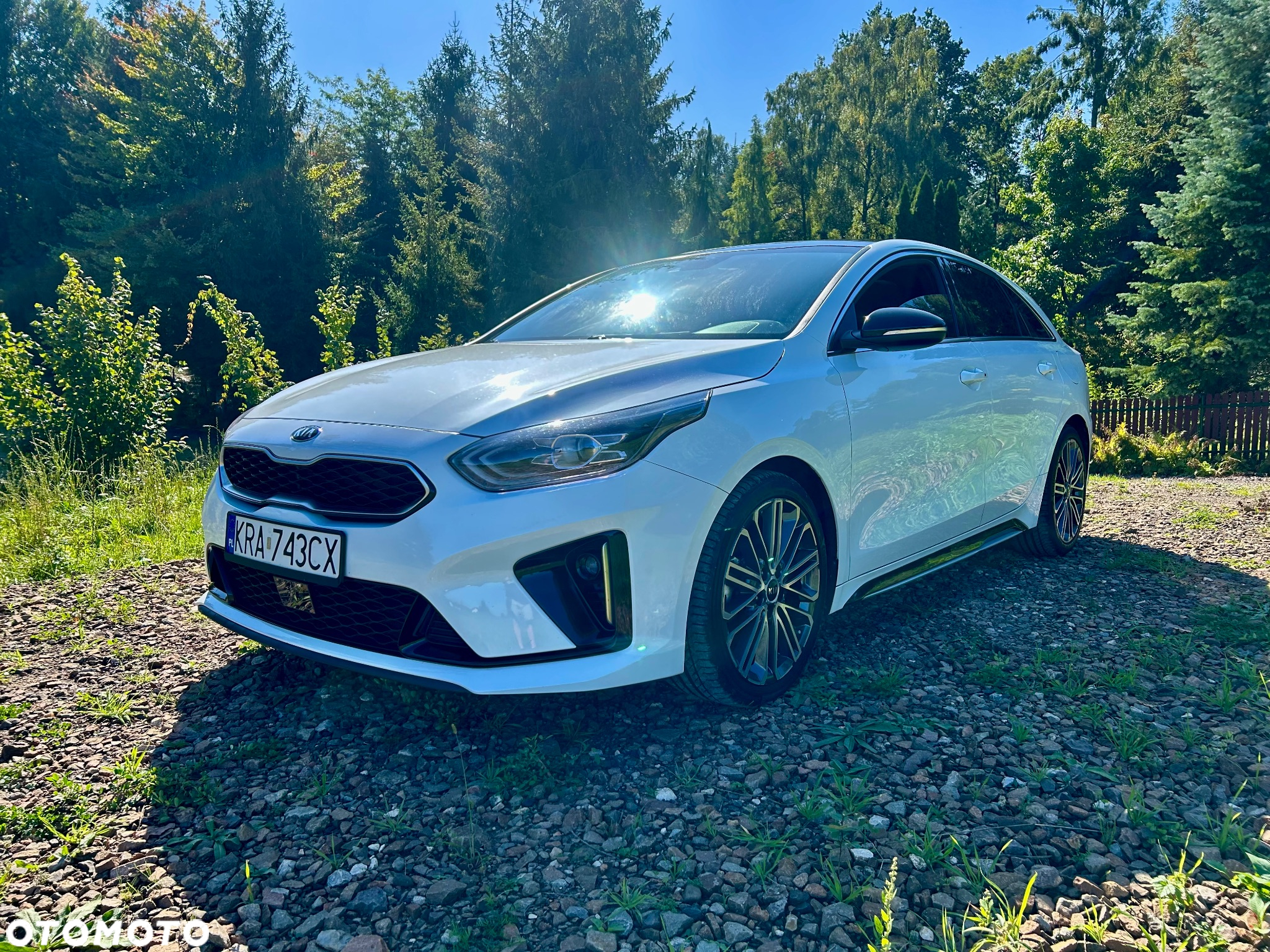Kia ProCeed 1.6 CRDi DCT7 SCR GT LINE - 2
