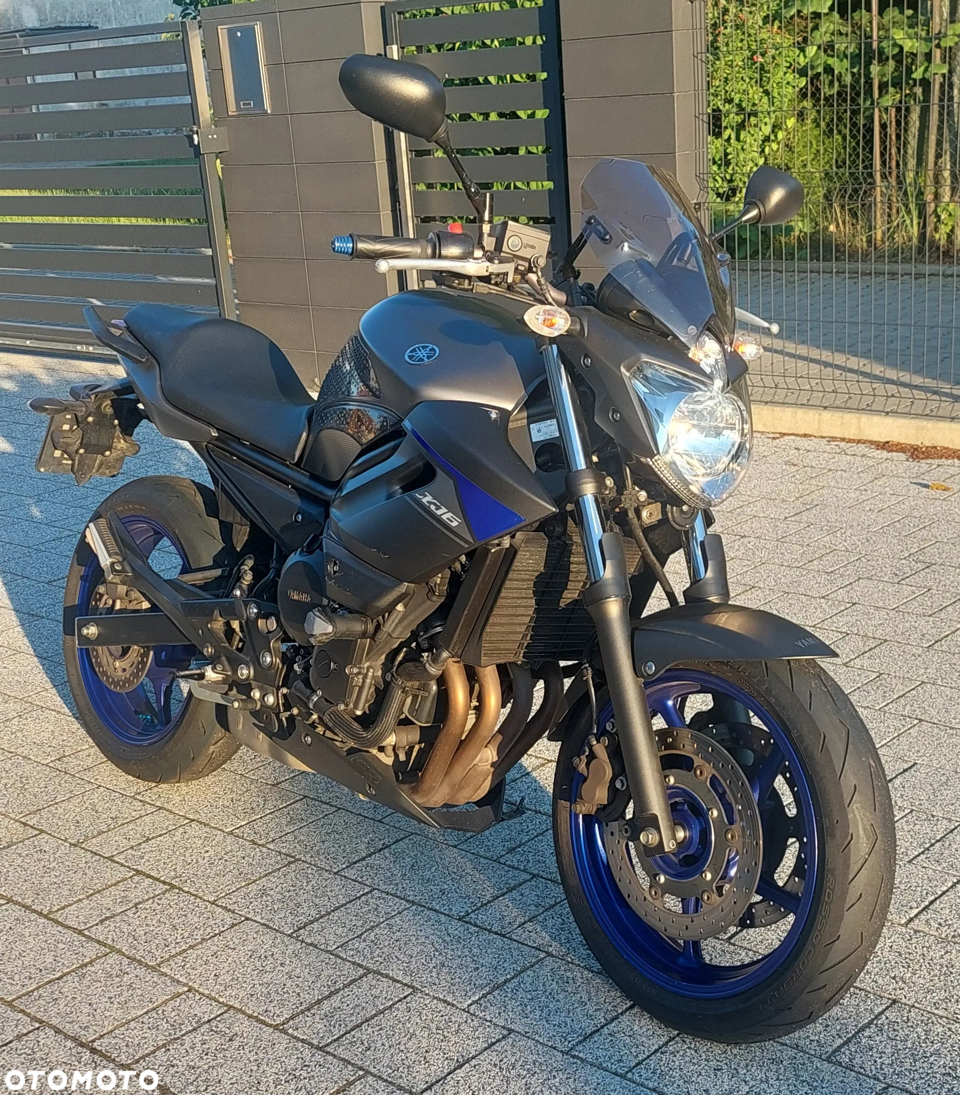 Yamaha XJ - 13