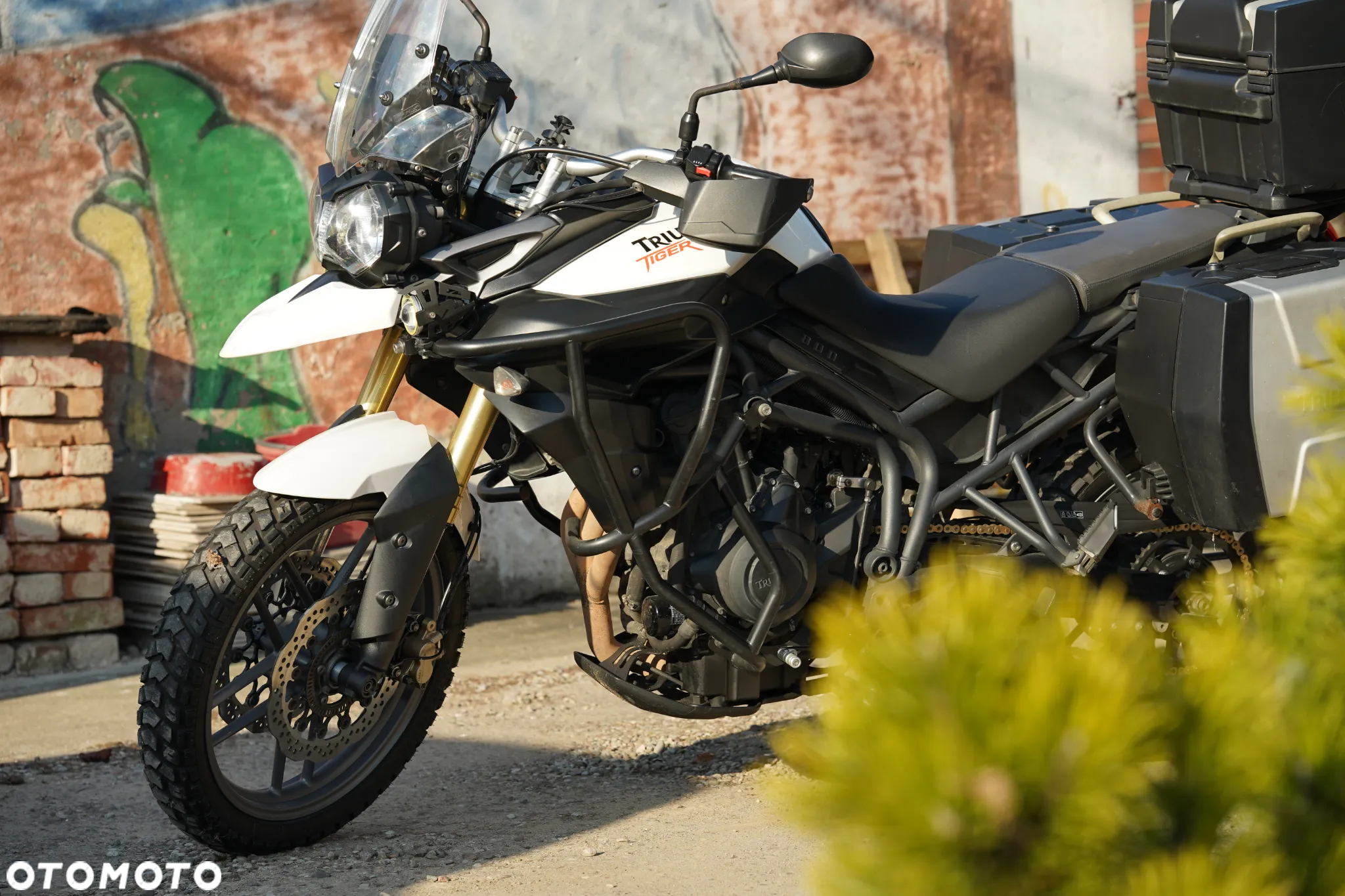Triumph Tiger - 7