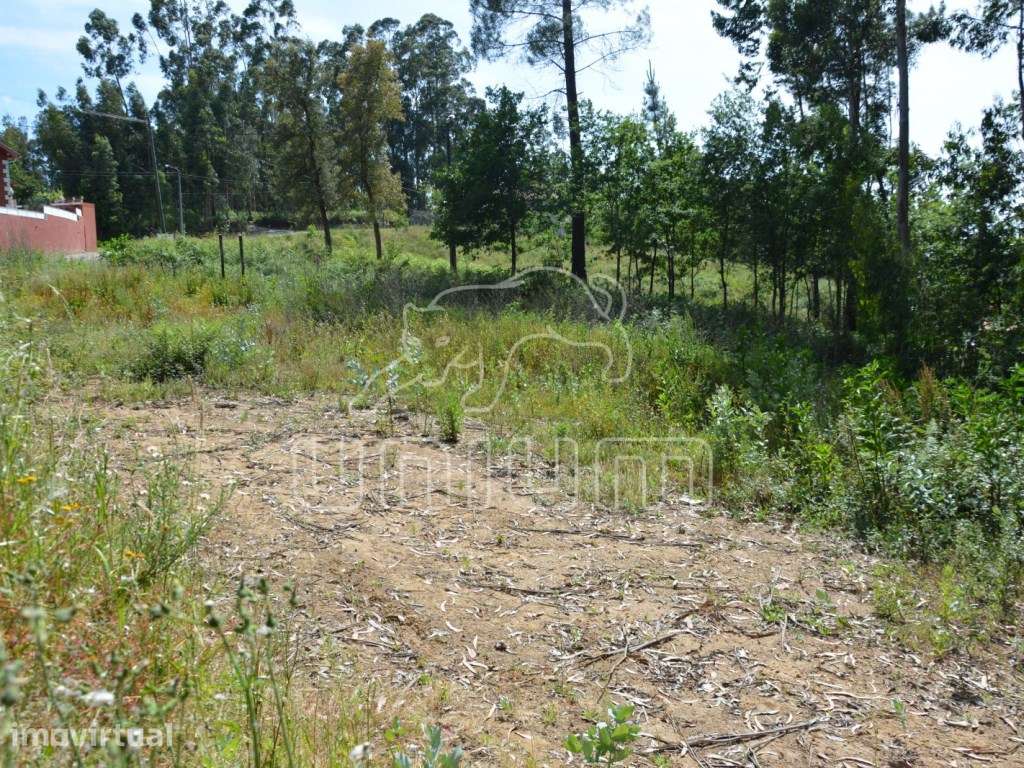 Terreno em Vila Verde - Grande imagem: 5/6