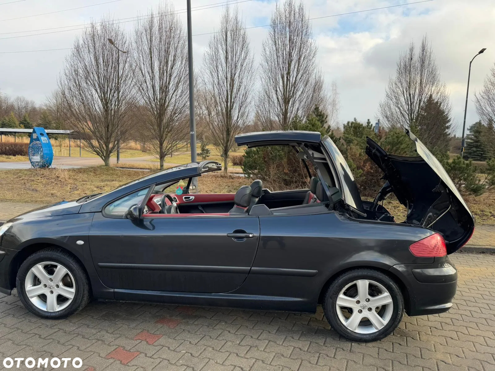 Peugeot 307 135 Sportline - 12